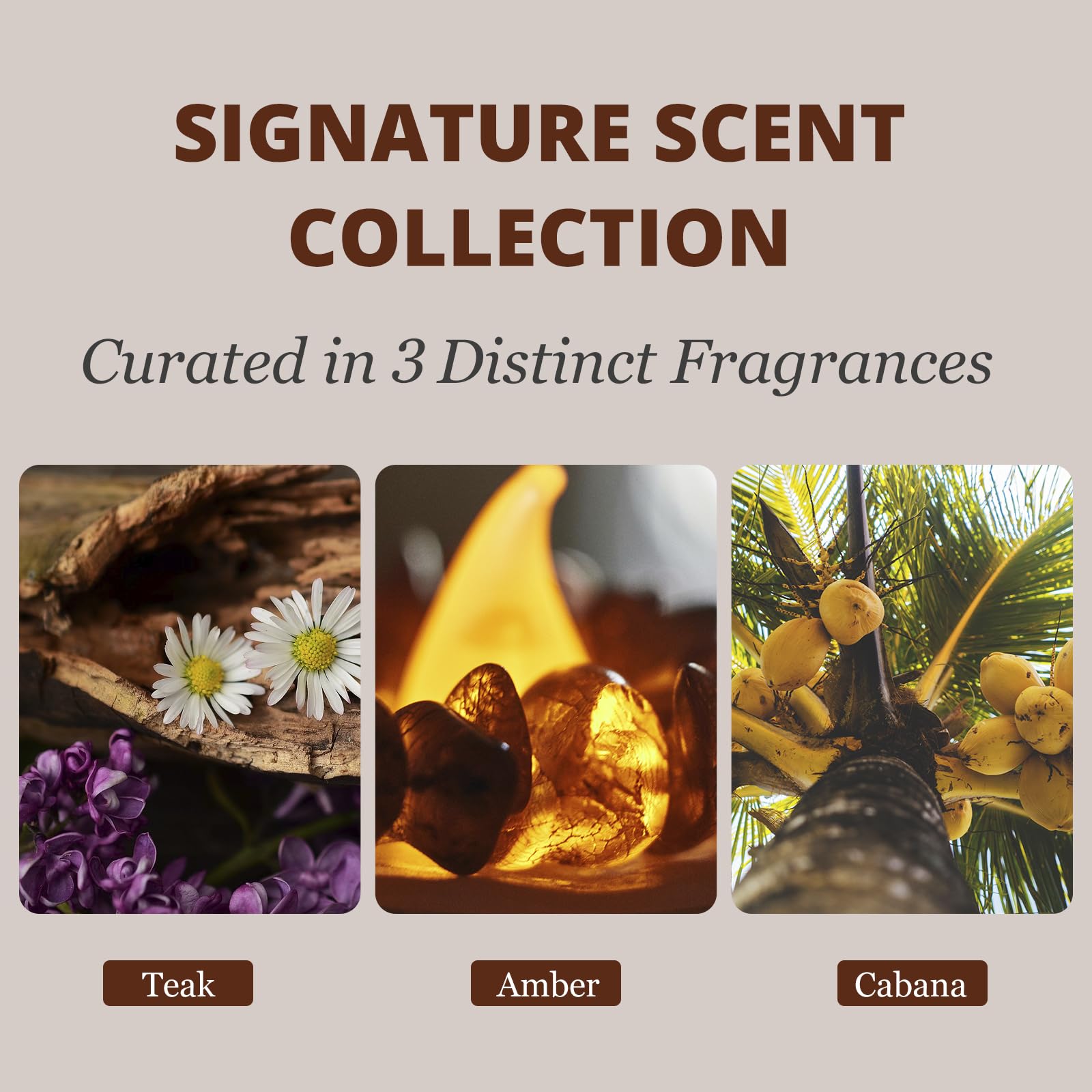 Car Air Freshener - Wood Air Freshener - Car Odor Eliminator for Visor Clip-Variety Scent Refill Vehicle Scent — view 4