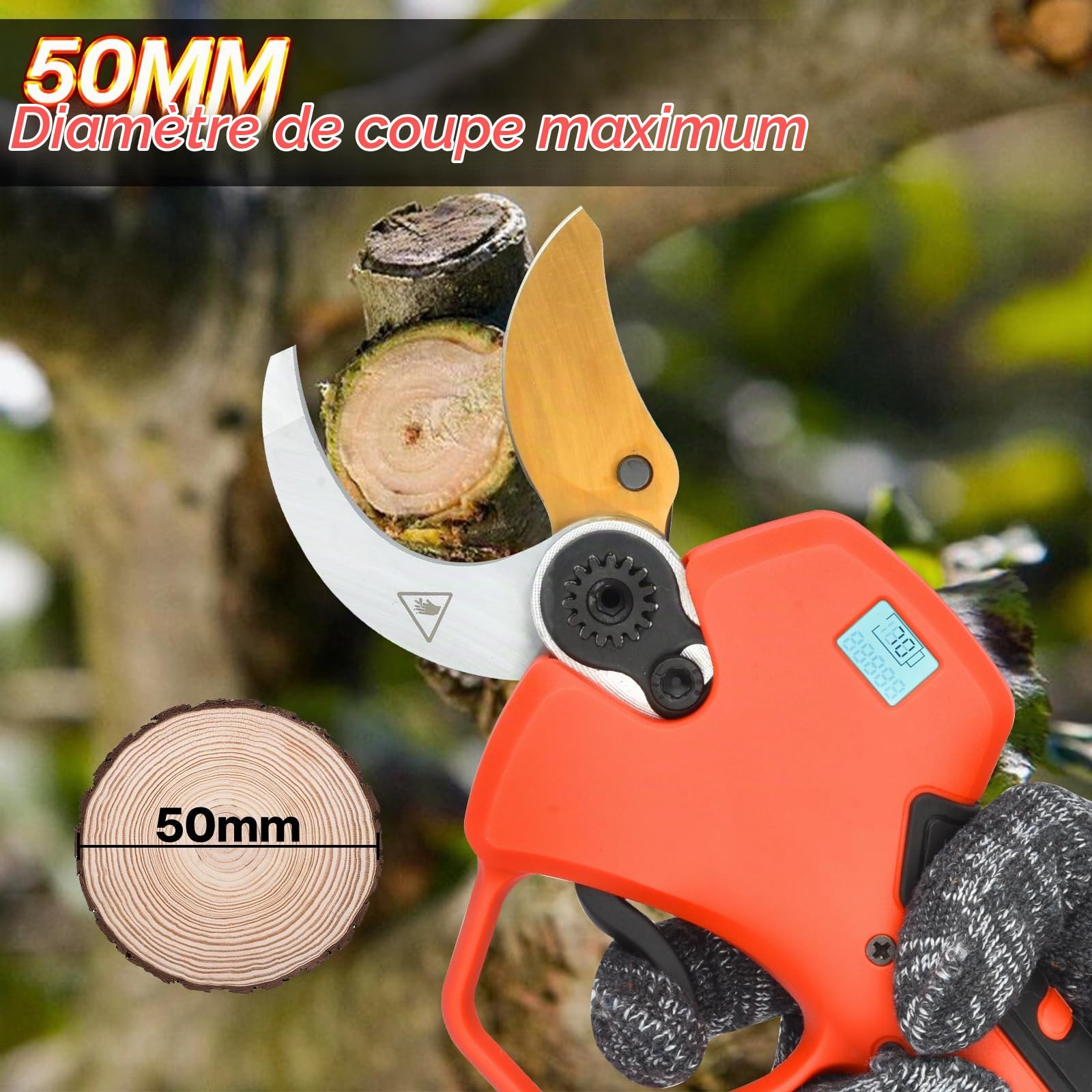 Sécateur électrique, 50 mm, batterie avec affichage, batteries 2 x 2 000 mAh, sécateur professionnel 800 W avec moteur Brushless pour jardinage, arbres fruitiers, vignobles