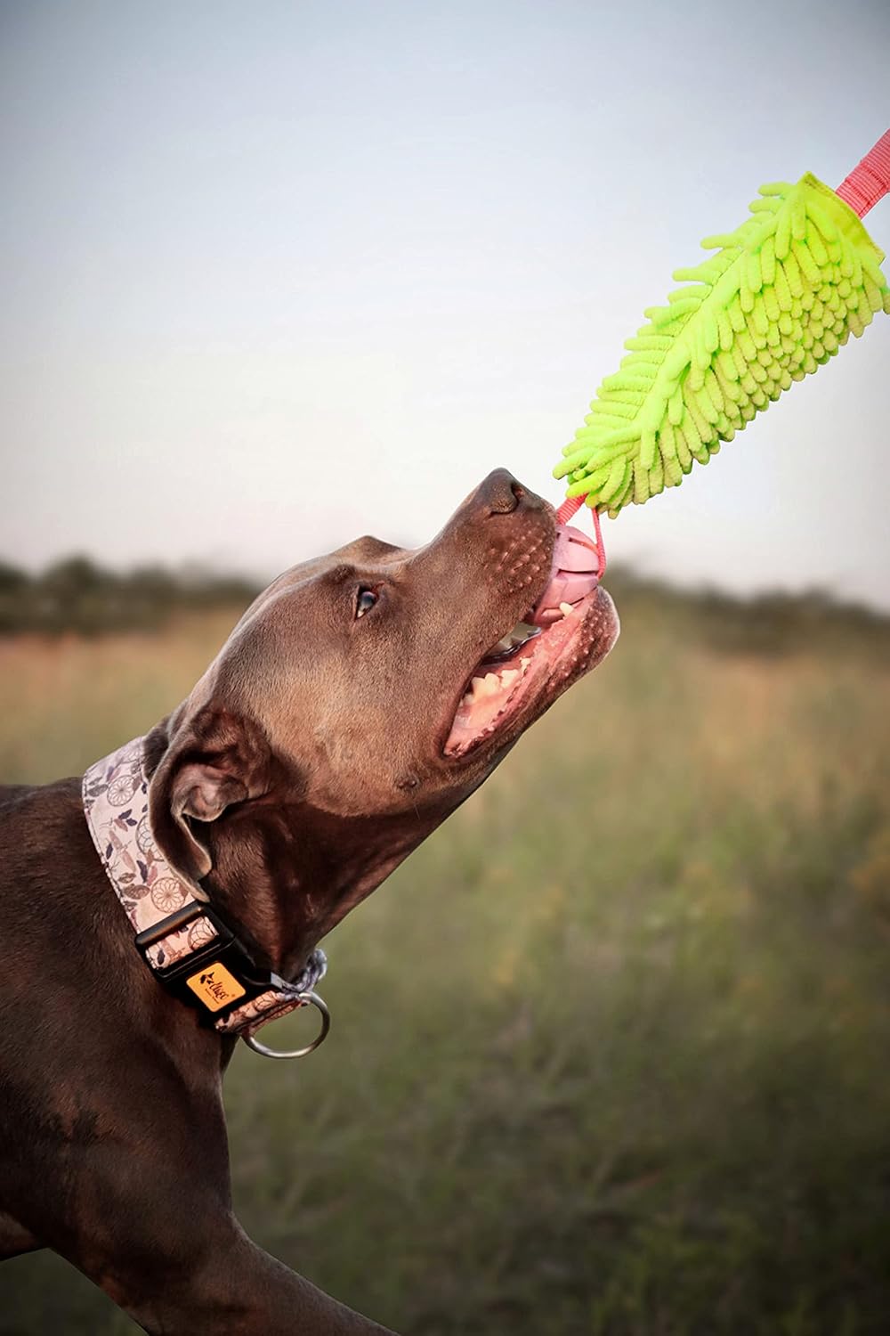 Dingo tug Toy for Dog, for Outdoor Indoor Play and tug of war, Bungee Handle, Soft Shaggy Nubby Like Plush Noodle and TPR Rubber Ball, Green 15589