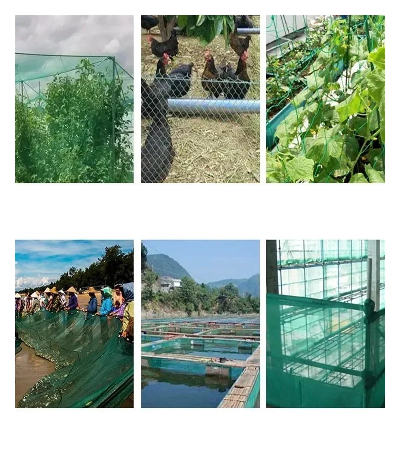 Nylonowa siatka przeciw ptakom Ogród odporny na ptaki netto Uprawy staw rybny Drzewo wiśniowe Ogrodzenie ochronne z owocami | Green 9shares 3cm Hole,Wide 3x5m