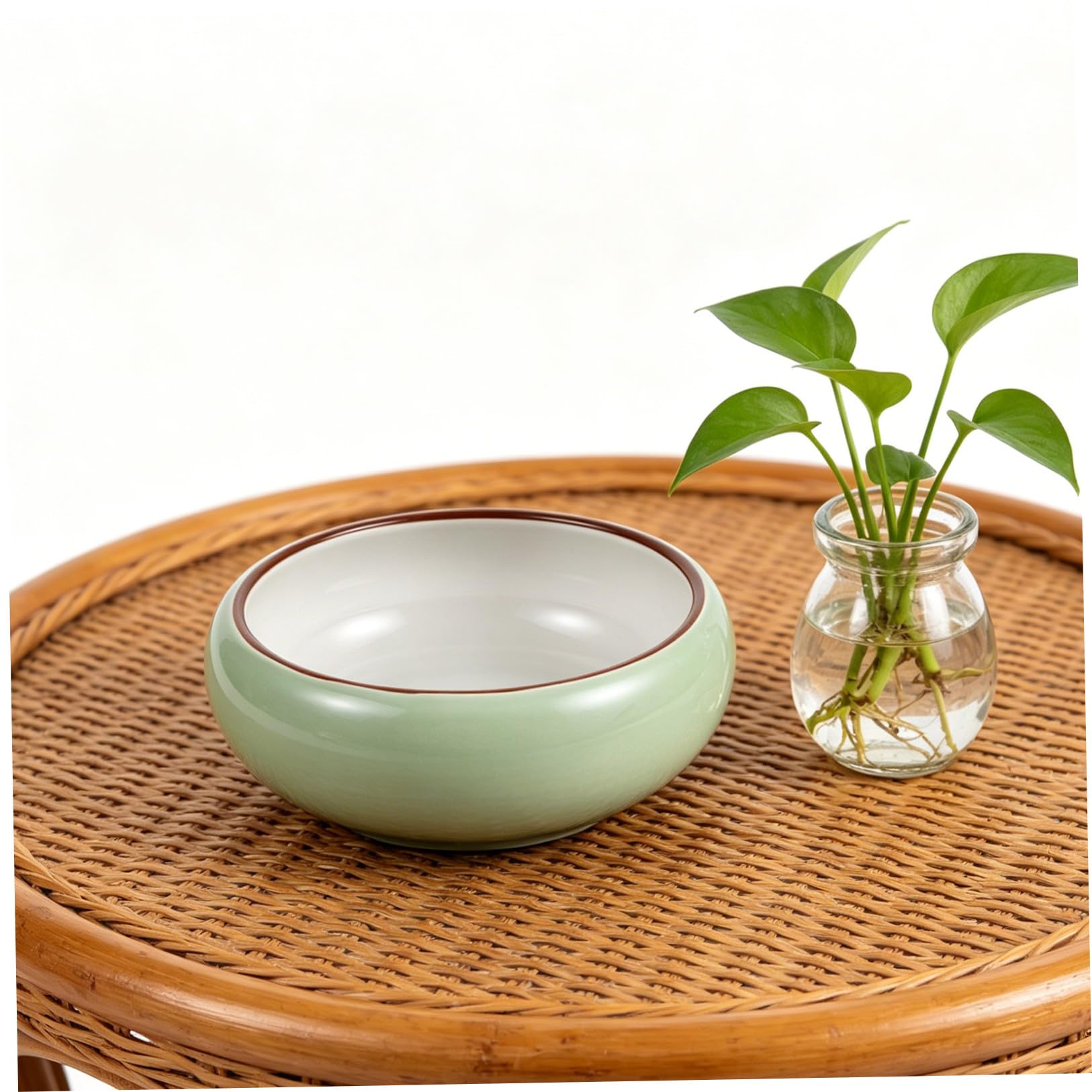 Toyvian Contenitore in Ceramica per Piante Acquatiche Grande Apertura, Design Rotondo Sobrio Opaco, per Coltura fuori Suolo e Decorazione Indoor
