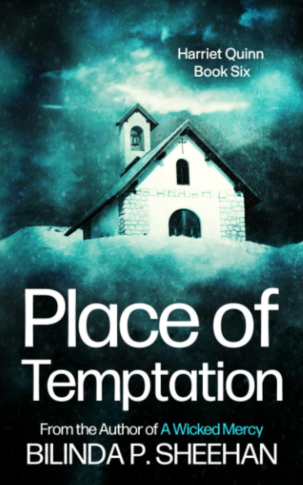 Place of Temptation: The Dark Heart of Yorkshire (DI Haskell & Quinn Crime Thriller Series)