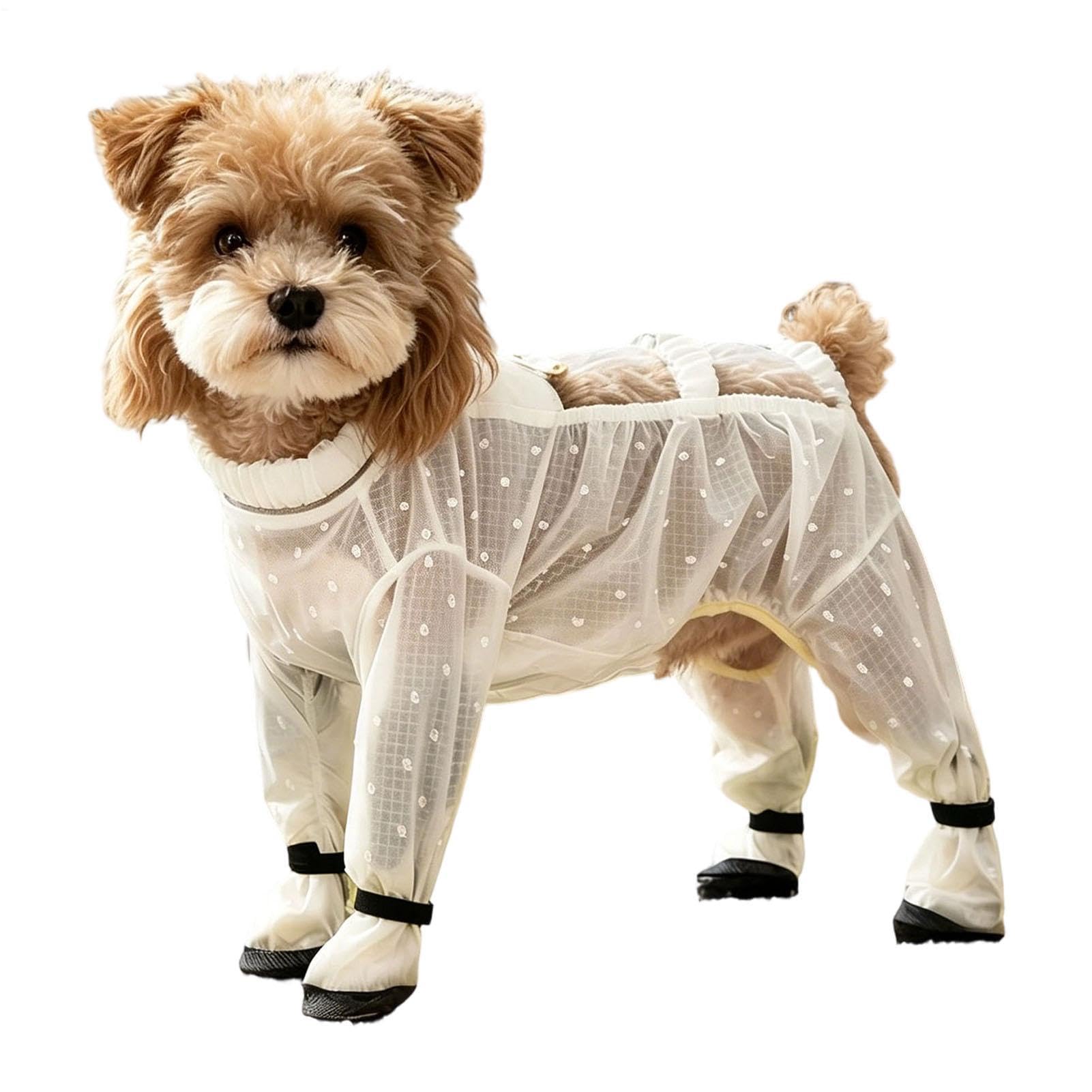 Body extensible pour chien évitant les poils mouillés en voyage
