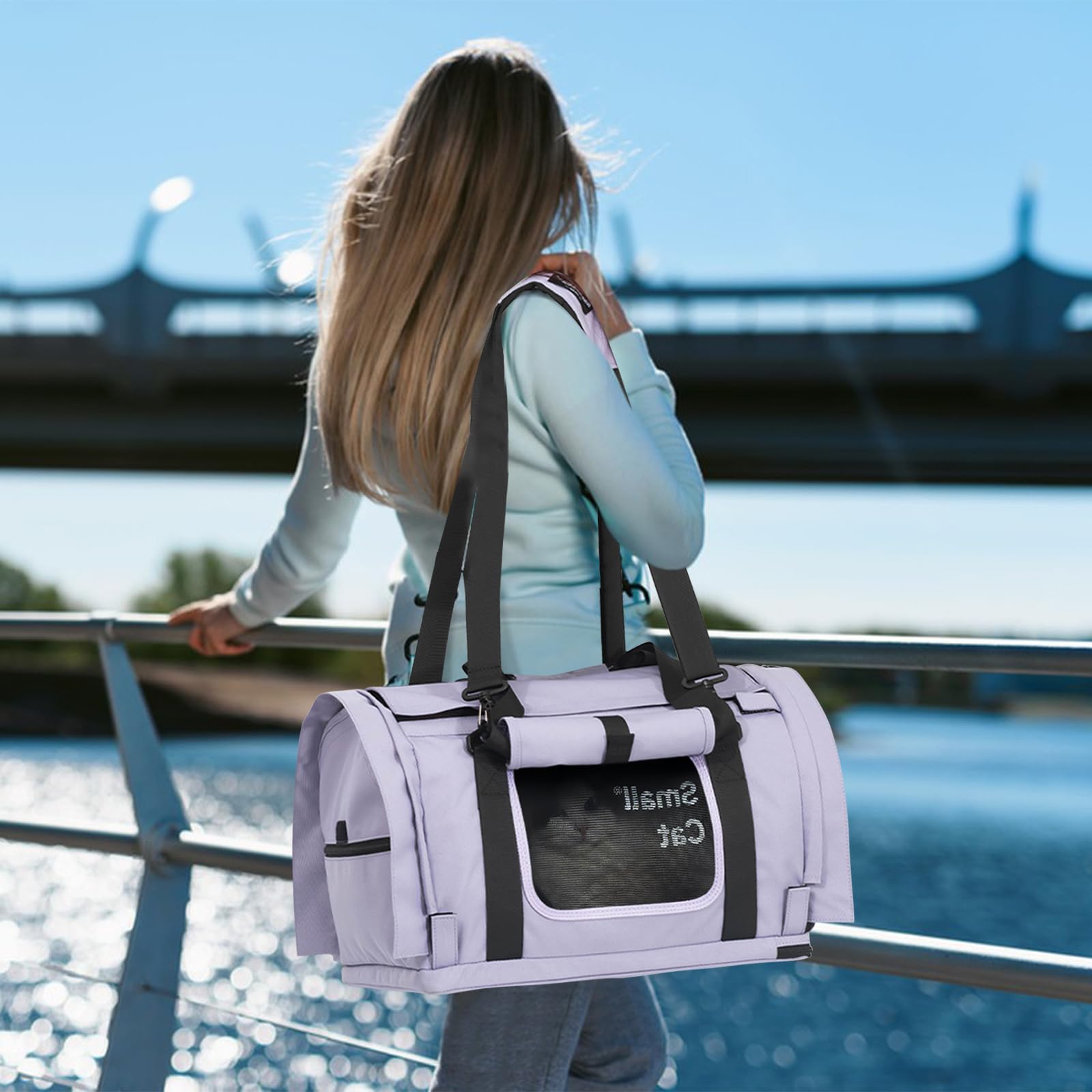 Galatée Borsa Da Trasporto Per Gatti, Borsa Da Viaggio Per Animali Domestici, Borsa Per Cani Approvata Dalle Compagnie Aeree, Con Finestra a Rete, Per Passeggiate e Arrampicate All'Aperto(Viola)