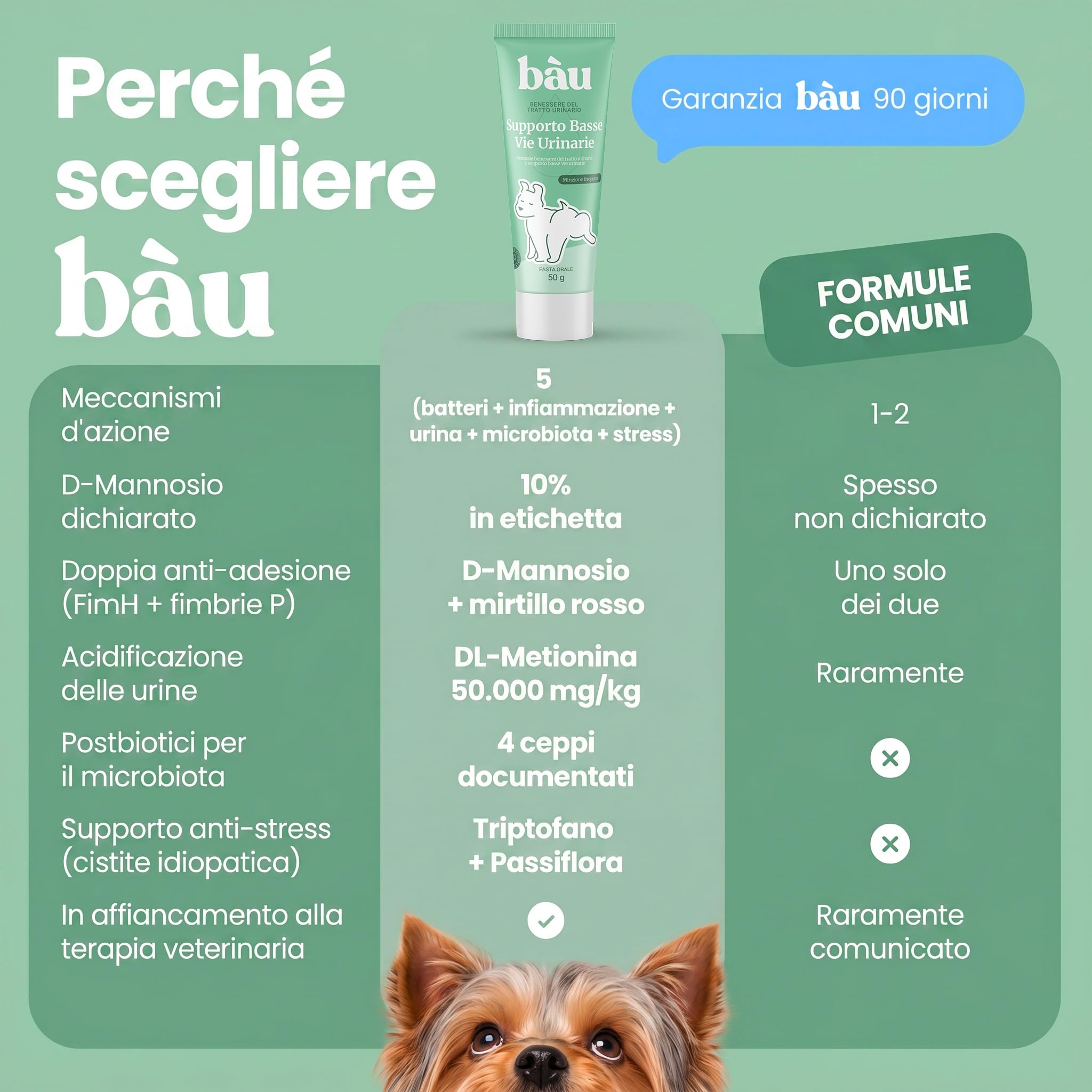 Bau Supporto Vie Urinarie per Cani in Pasta – Cistite Cane – Integratore per Vescica Cane con Pipì Frequente e Fastidio Urinario – Aiuto per Cistite Ricorrente e Minzione a Gocce