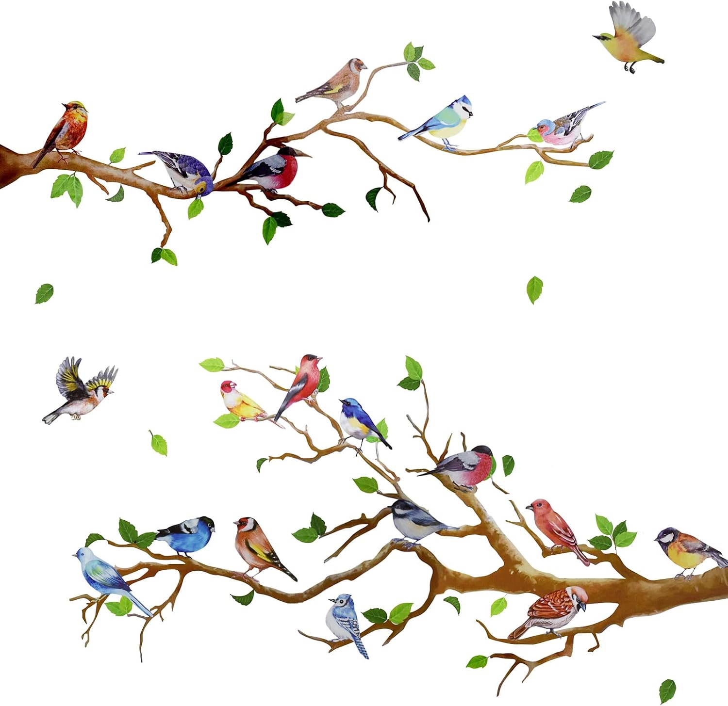 Maydahui Little Birds on Tree Branches Wall Decals Hummingbird Wall Stickers(34x34Inch)Removable Peel & Stick Green Leaf and Bird Art Murals Decor for Bedroom Offices Classroom Living Room Background