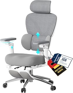 WOLTU Bürostuhl Ergonomisch, Schreibtischstuhl, 6D Armlehnen Grau+Weiß