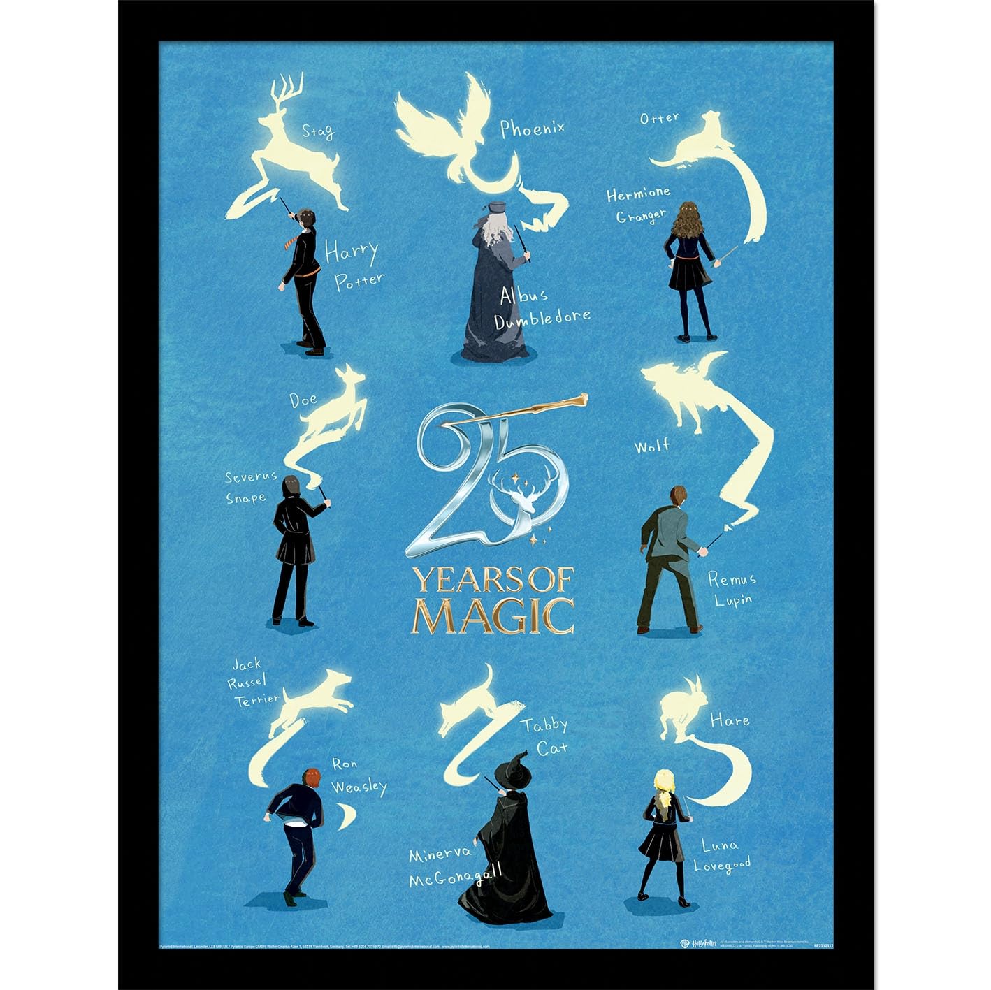 Cadre Harry Potter impression collector 45x35 cm pour salon et bureau