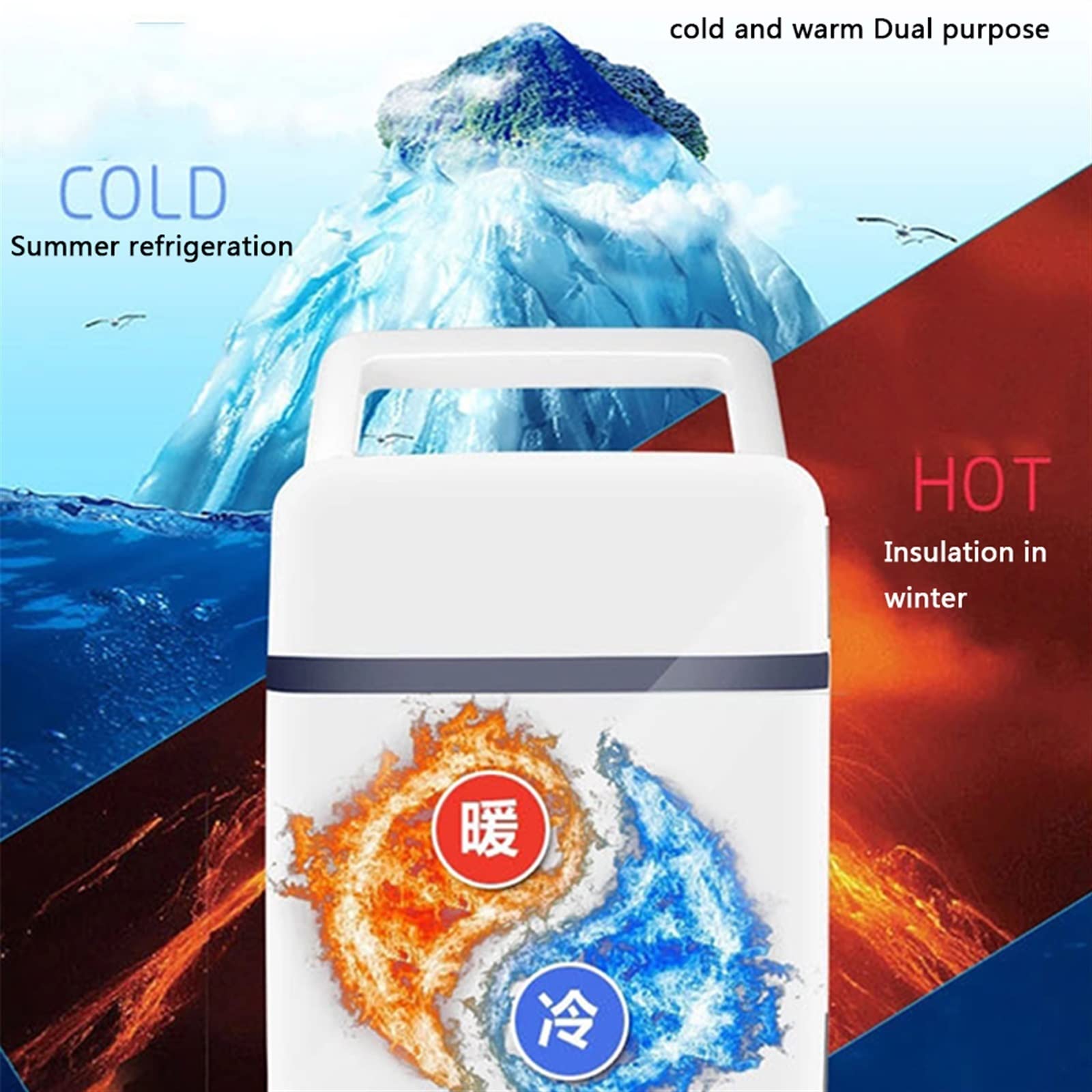 10L Mini Frigo Frigorifero Da Tavolo Con Funzione Di Raffreddamento & Riscaldamento Piccolo Congelatore-5 °C-65 °C Scatola Refrigerante Per La Cura Della Pelle E Cosmetici 12V/220V Per Auto E Casa