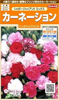サカタのタネ 実咲花7100 カーネーションシャボージャイアントミックス 00907100