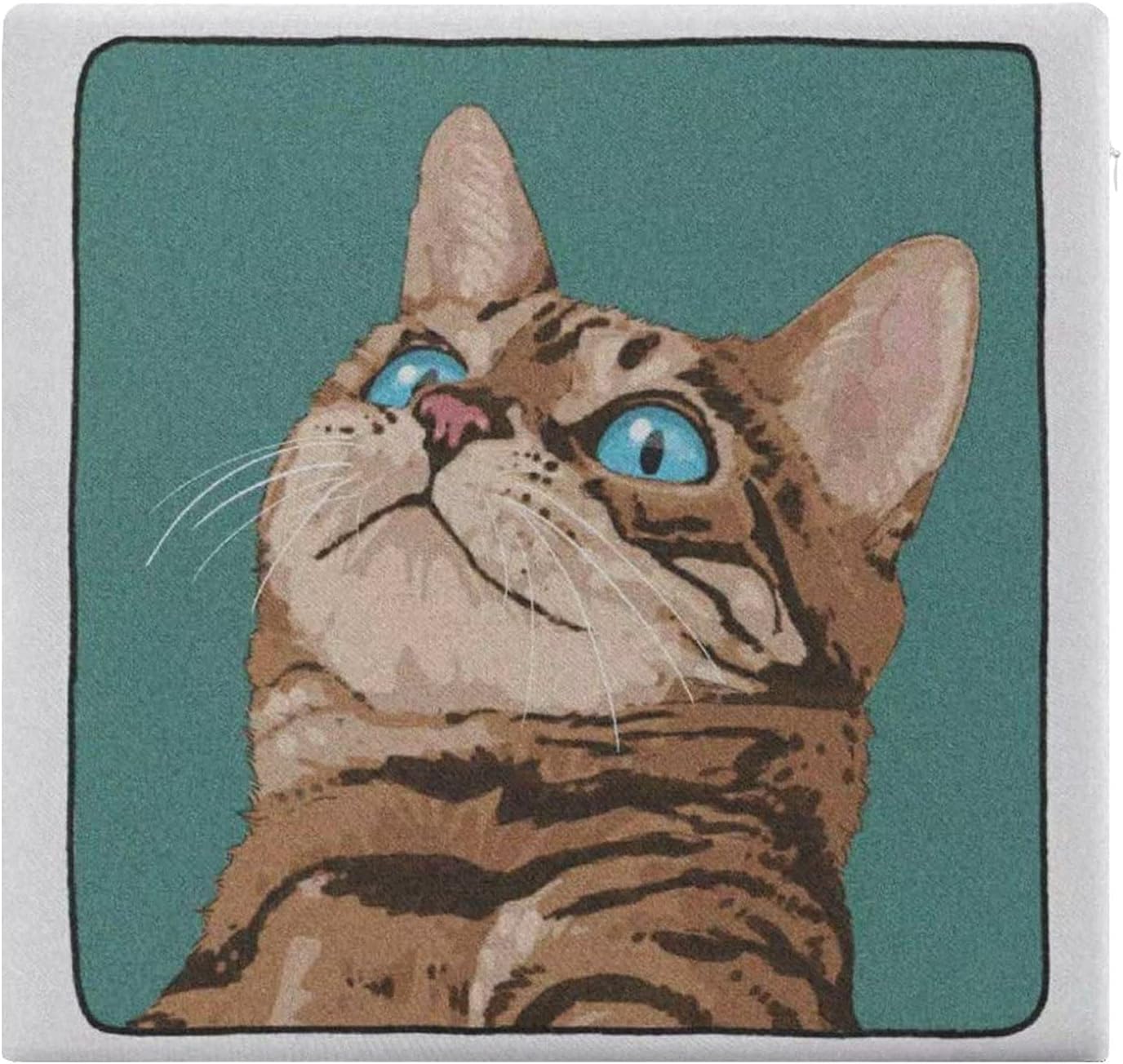 四角いクッション キャット 5 クッション 椅子 クッション 椅子のクッション 低反発 クッション 低反発 座布団 四角いクッション キャット 5 クッション 椅子 クッション 椅子のクッション 低反発 クッション 低反発 座布団