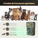 Ver la foto 3