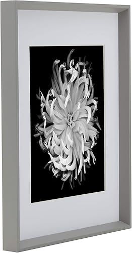 Miniatura 3 de Studio Nova Portarretratos para fotos de 8 x 10 pulgadas de 11 x 14 pulgadas sin paspartú, 11 x 14 pulgadas, mate de 8 x 10 pulgadas, color gris