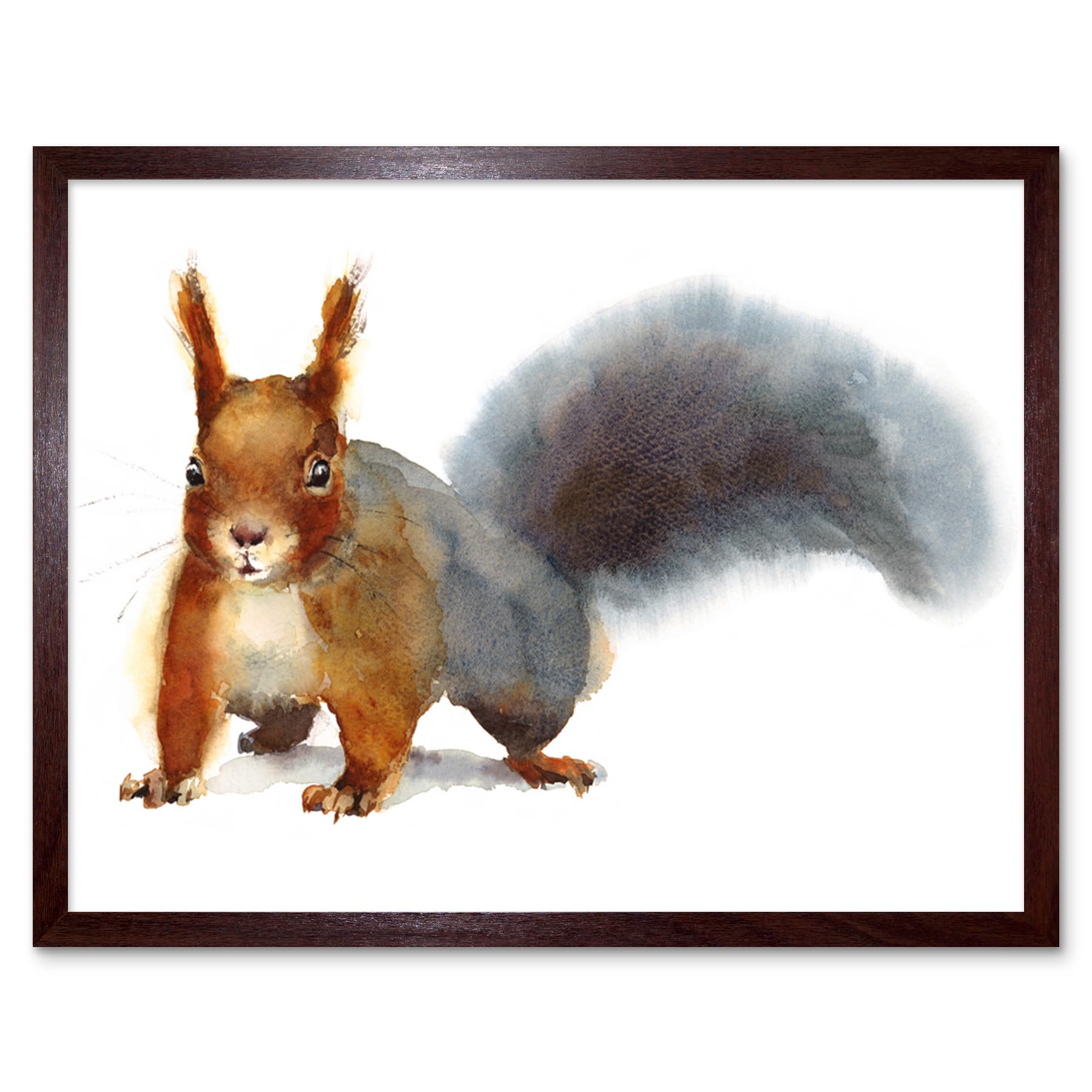 Wee Blue Coo Squirrel Watercolour Cute Art Print Framed Poster Wall Decor 12X16 Inch