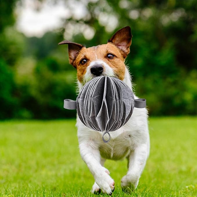 犬のインタラクティブな噛むおもちゃ 犬用の安全なポリエステル製噛むおもちゃ ペットの歯のクリーニング 咀嚼 フェッチのためのトリートボールフードディスペンスおもちゃ A R 出色 犬のインタラクティブな噛むおもちゃ 犬用の安全なポリエステル製噛むおもちゃ ペットの歯のクリーニング 咀嚼 フェッチのためのトリートボールフードディスペンスおもちゃ A R 出色