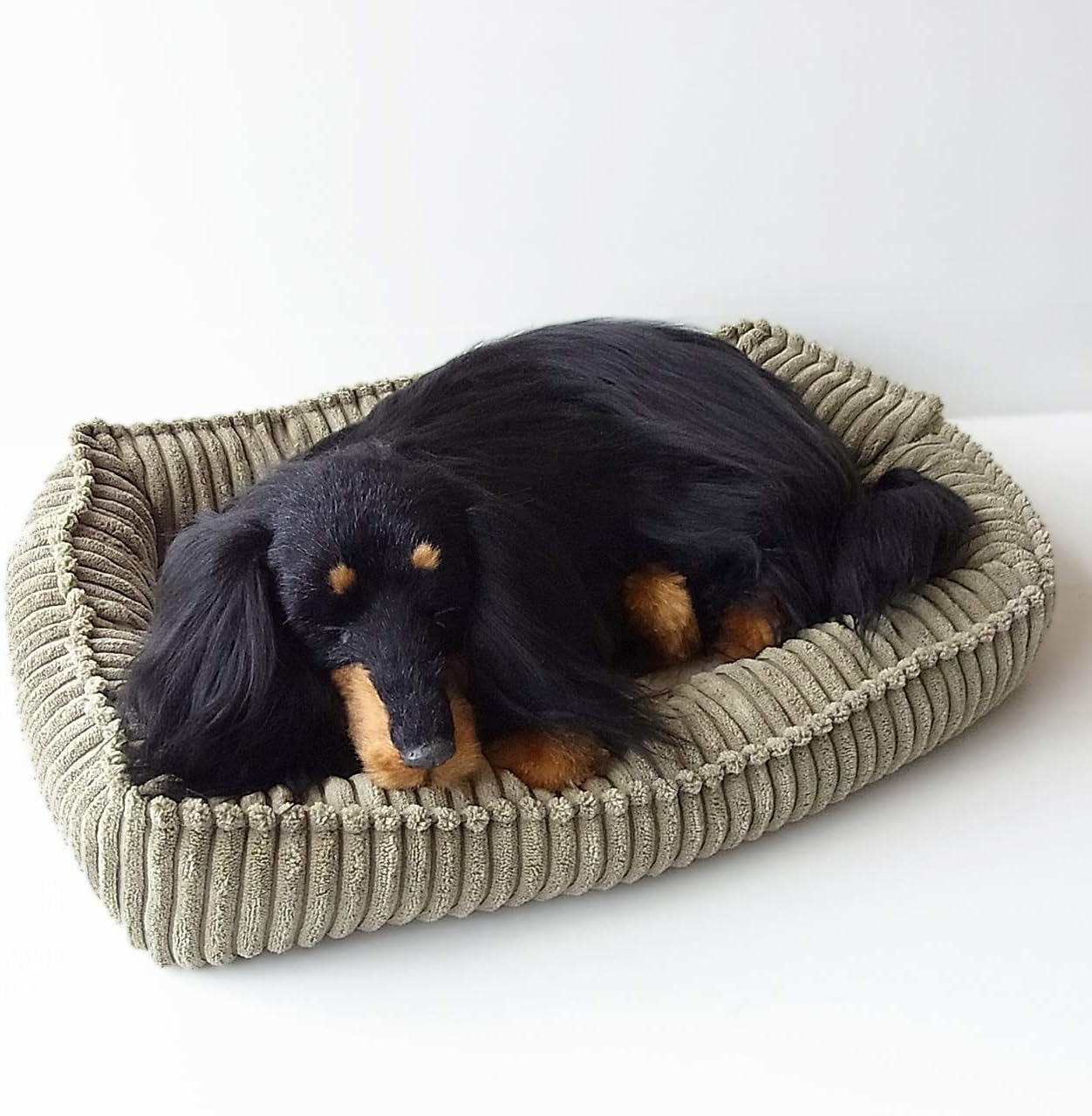 ラシュトン ラバーフェイスドール ライオン レア 期間限定 ラシュトン