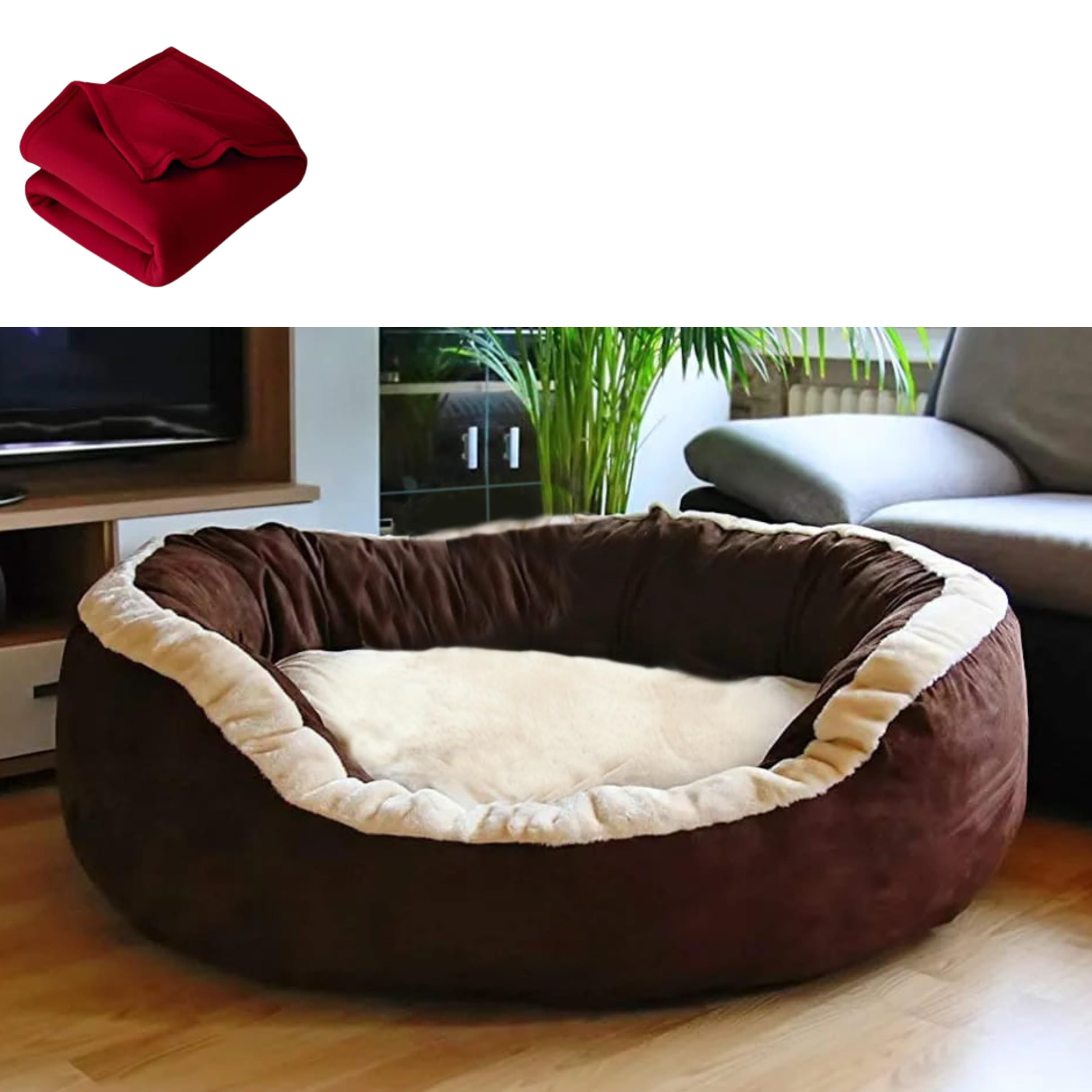 DRILLY Washable Dog/cat Bed with Blanket for Small | Medium | Large | Extra Large | XXL | XXXL | 4XL Size Dogs | Cats | Puppy | pet | Rabbit | Persian cat | Indoor cat (S) (B0C6TW29NB) Amazon Price History, Amazon Price Tracker