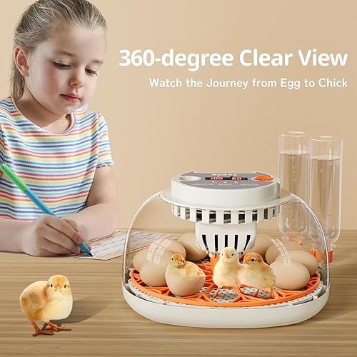 Miniatura 6 de Apdoe Incubadora de 12 huevos, incubadoras para incubar huevos, girador automático de huevos con control de temperatura, vela de huevos, reposición