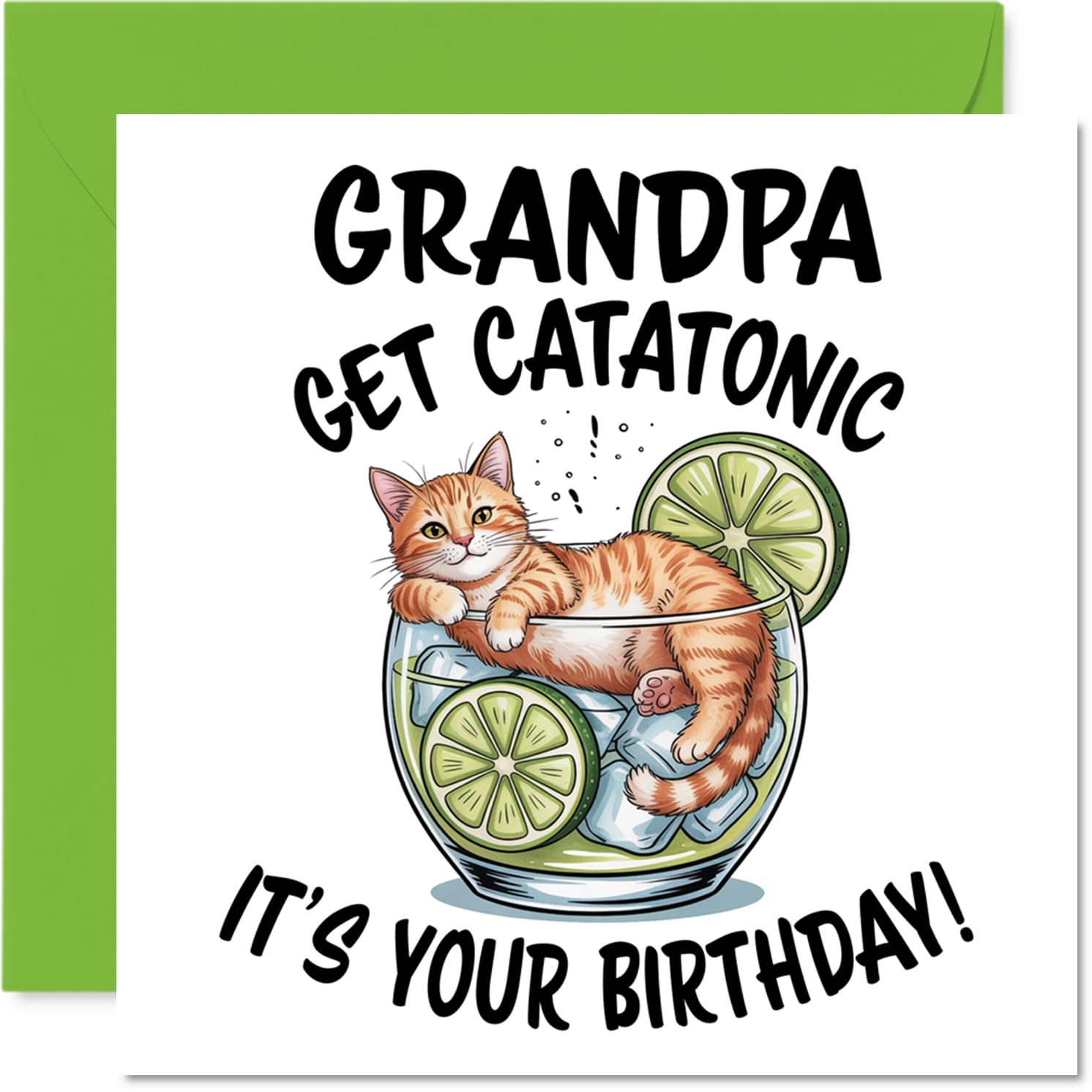 Grandpa Birthday Card - Catatonic - Happy Birthday Card for Grandpa from Grandson Granddaughter, 145mm Cute Animal Design Bday Greeting Cards