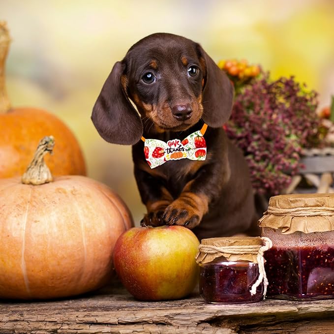22 Corbatinas para Perros Ajustables, Accesorio de Collar, Mascotas Pequeñas y Medianas, Otoño miniatura 7