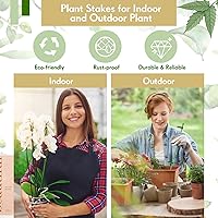 Vista 3 de meekoo 60 estacas ajustables para plantas de jardín, anillos de soporte de jaula de plantas de un solo tallo con clips y tubo de conexión para Verde