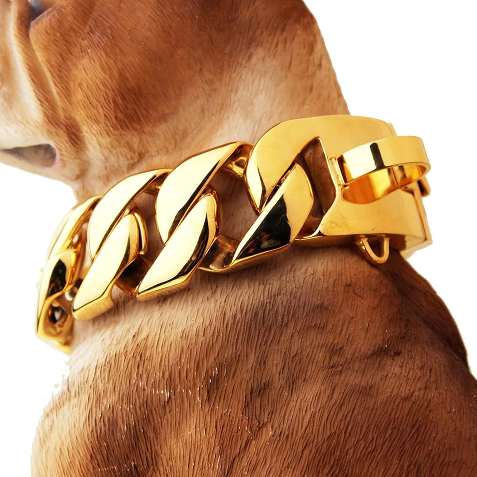 Oro,55cm/22in, Collar de Cadena para Perros Grandes con Hebilla — Robusto y de Alta Resistencia — EslabóN Cubano de 32 Mm, Apto para Todas Las Razas de Perros Medianos y Grandes