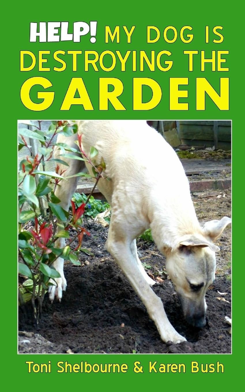 Help! My Dog is Destroying the Garden