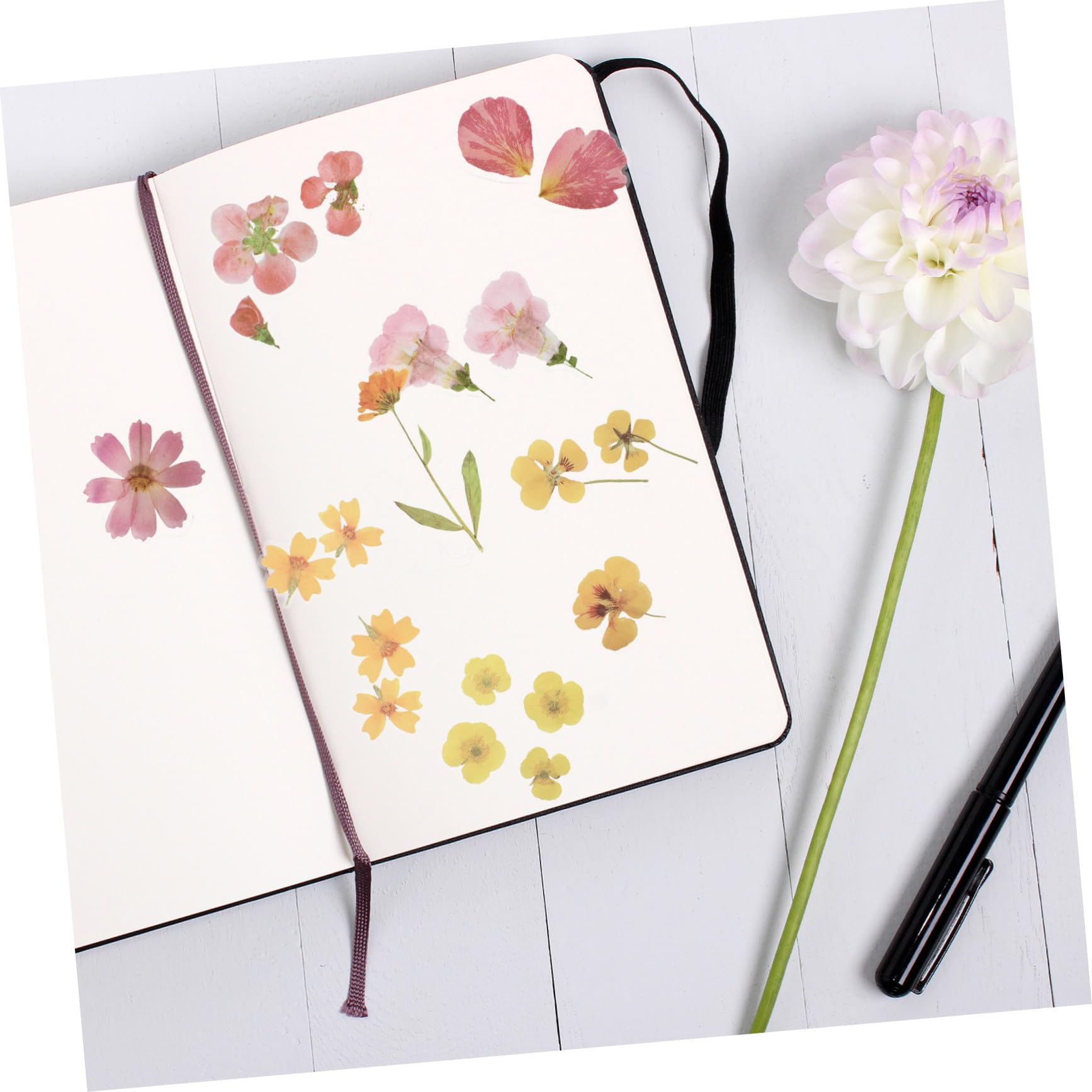 EXCEART 20 Juegos De Pegatinas Para Mascotas Paquete De Pegatinas Pegatina Para Ordenador Portátil Trajes Verdes Cuaderno Diario Pegatina Álbum De Recortes Diario De Boda