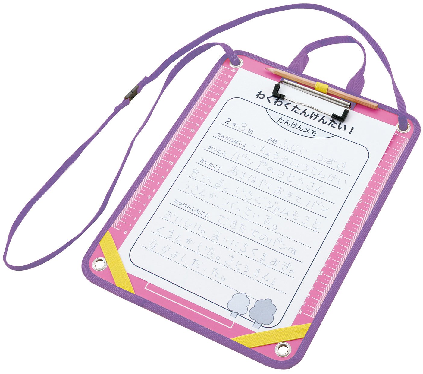 Amazon.co.jp: レイメイ藤井 先生オススメ 探検ボード ピンク RS105P