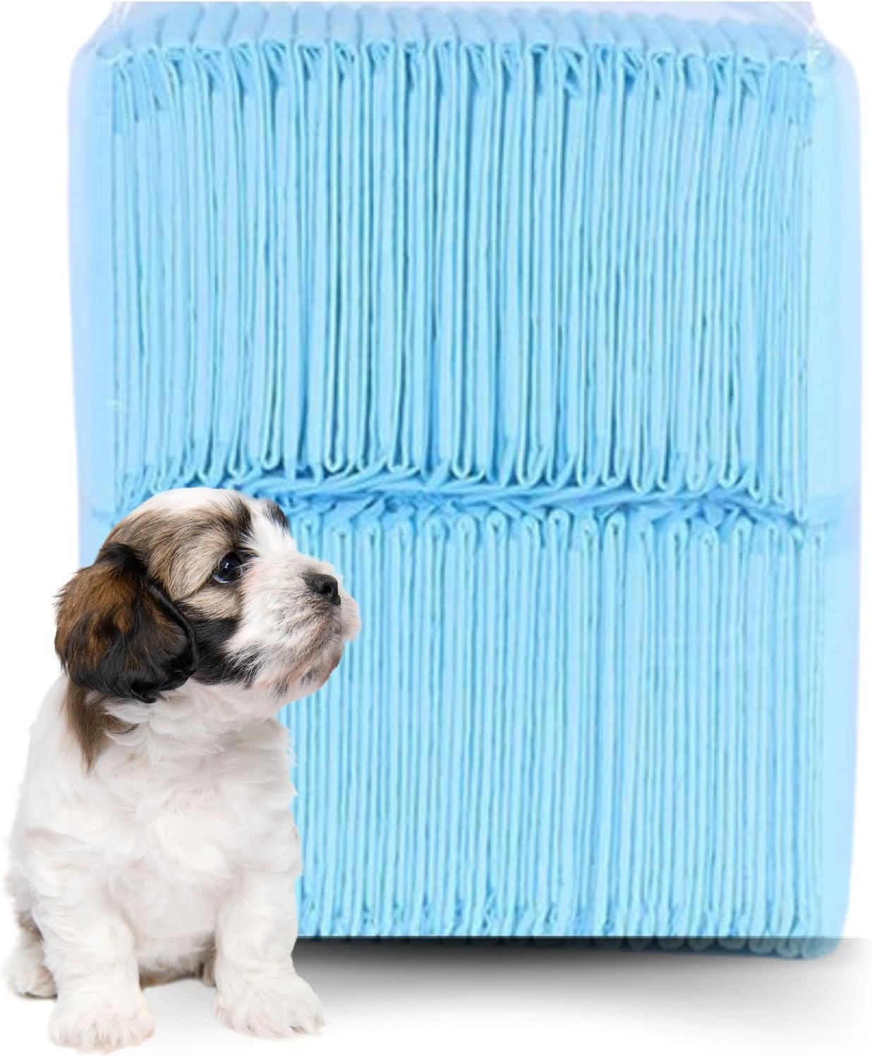 Puppy Essentials - Pet Training Pads with Ultra Absorbent Leak-Proof Design - Puppy Pads with Odor Control Feature - XL Pee Pads for Dogs - 24x24 Inch - 40 Count - Blue Color Large (23.6in X 23.6in - 60 cm X 60 cm) 40.0