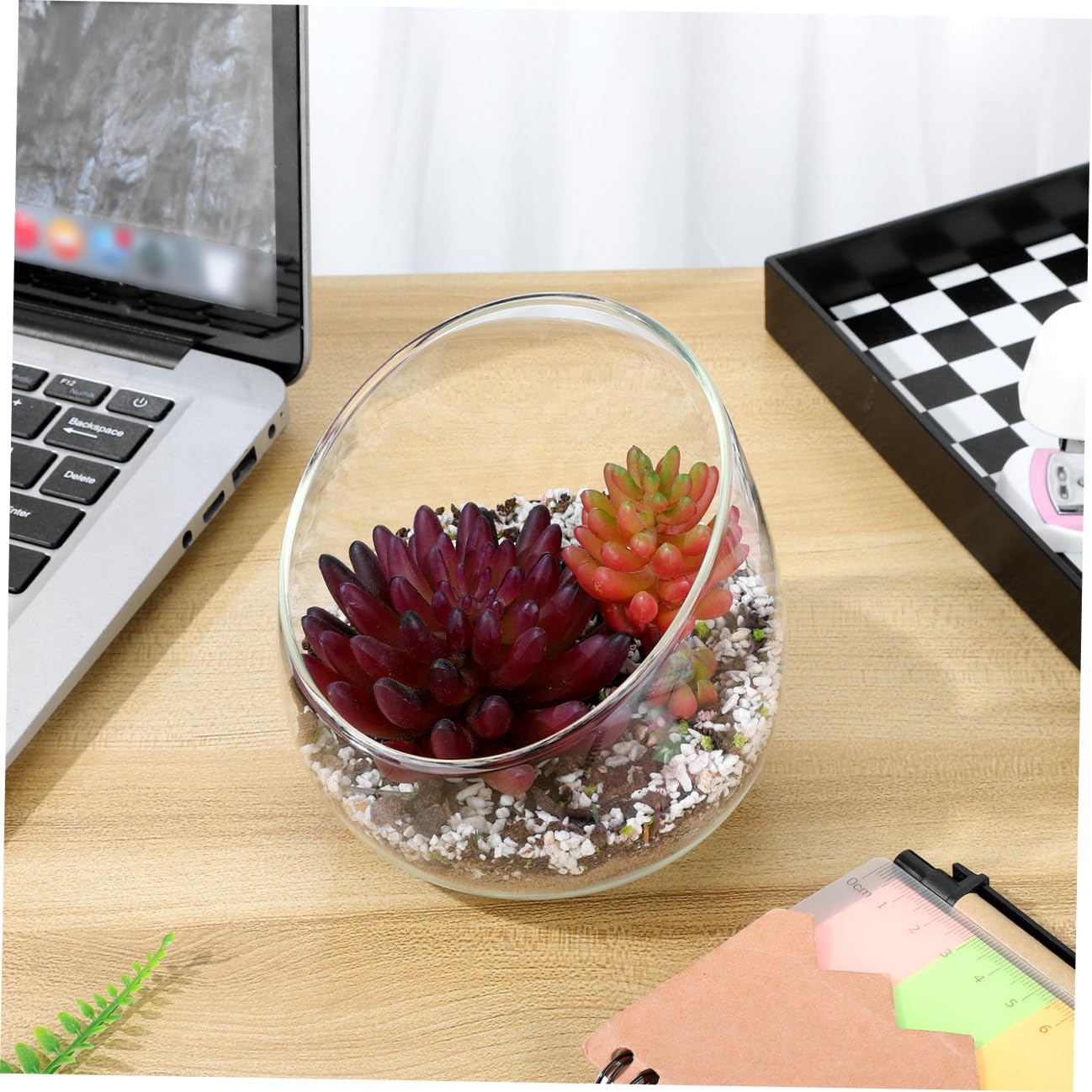Terrario de Vidrio con Boca Inclinada para Plantas y Musgo, Maceta Decorativa Versátil y Elegante para Interiores y Centros de Mesa
