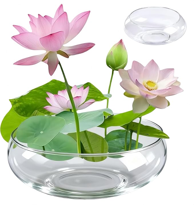 1 Pcs Lotus Bowl Planter Round Lotus Bowl Glass Lotus