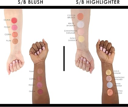 Temptu S/B Starter Pack Blush / Highlighter