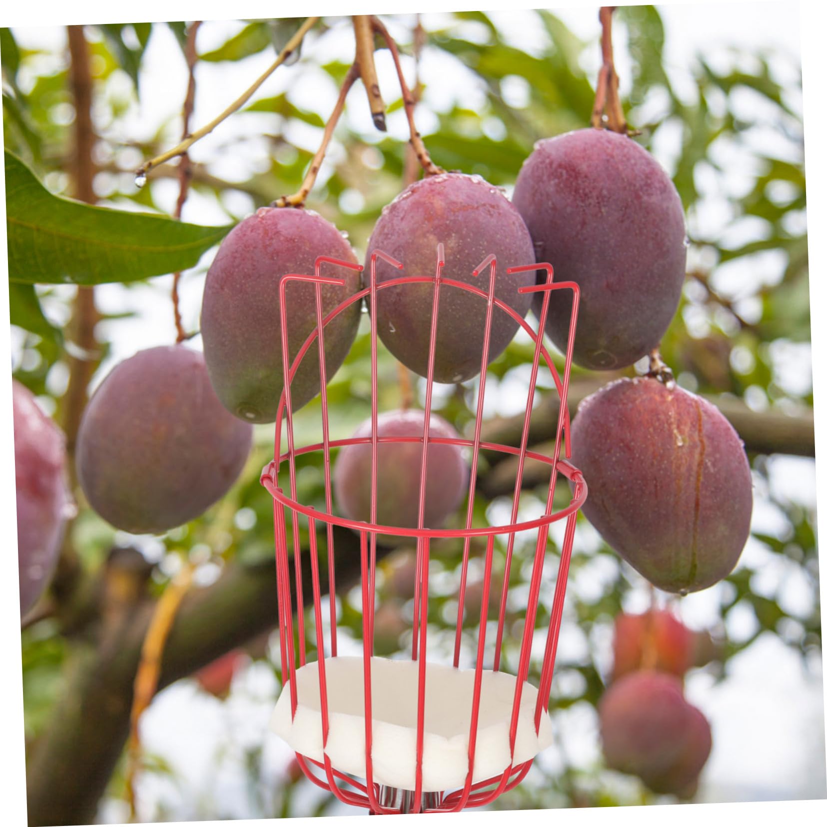 1set Raccoglitore Frutta Telescopico Attrezzo Da Giardino Acciaio Inossidabile Strumento Per Raccolta Frutta Senza Scala Sezioni Per Orticoltura e Rosso Argento