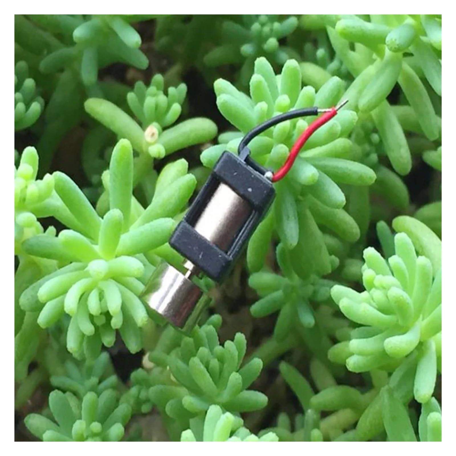 EKFBQBGW DC 1.5V-6V 3V 0408 Coreless Vibration electronic starter Small Vibrator 4mm*8mm for Toy Accessories