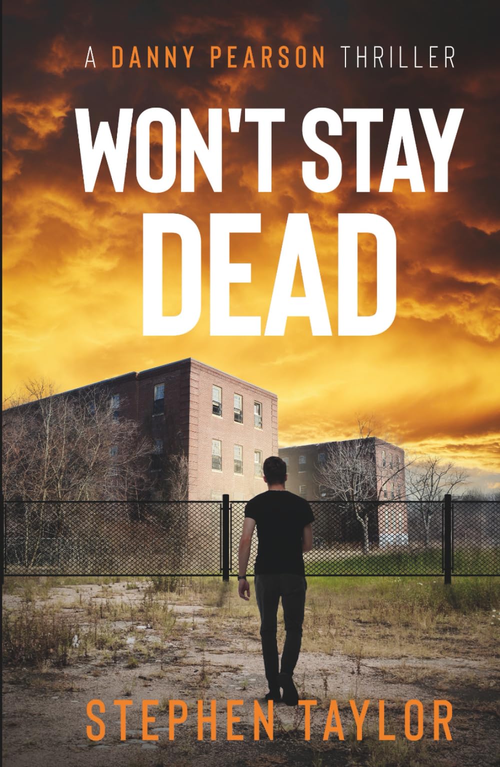 Won't Stay Dead (The Danny Pearson Thriller Series)