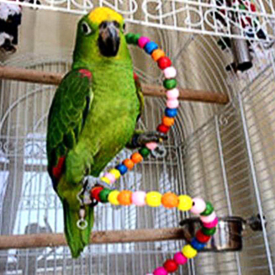 Perchoir flexible jouet d'oiseaux échelle en bois pour oiseaux comme perroquet 100cm