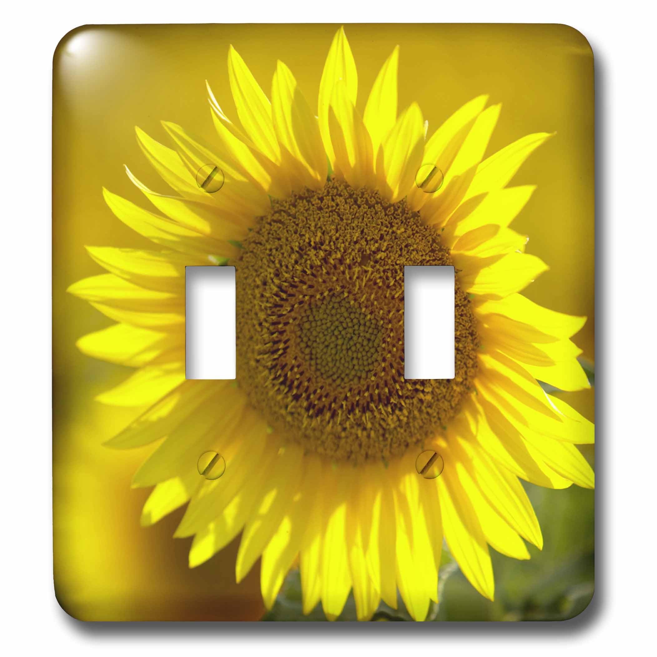 Interrupteur à bascule double multicolore tournesol 3dRose Lsp_95308_2