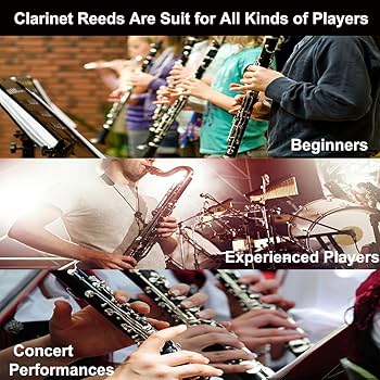 Aprilsunnyzone Lot De 10 Anches De Clarinette En Si Bémol - Force 1/1,5
