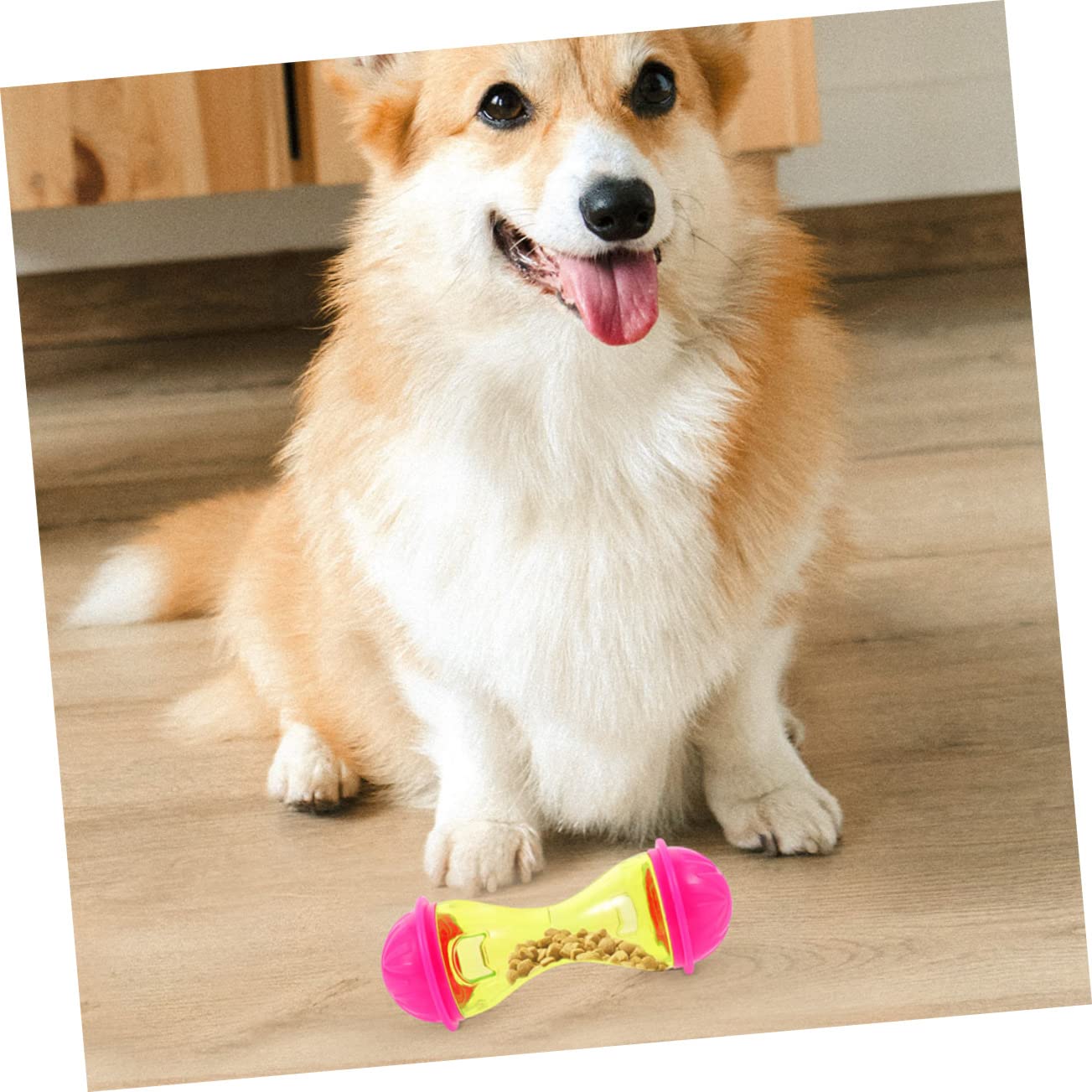 Sosoport 10stücke Teiliges Haustier-leckerli-Spender-Spielzeug Für Katzen Und Hunde Interaktives Intelligenzspielzeug Knochenförmigem Design Fördert Spiel Und Futteraufnahme Für Welpen