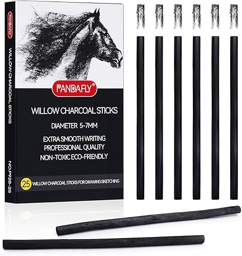 PANDAFLY Palitos de carbón de sauce, suave, carbón de vid negro para artistas, principiantes, estudiantes, ideal para bocetos, dibujos, sombreado y