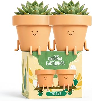 Original Earthlings Plant Pots - Two-Pot Indoor Planter Gift Set with Adoption Certificate, Sitting Cute Succulent Pots for Desk, Shelf, Windowsill, Home Decor - 4 Inch Plastic Planter, 2 Count