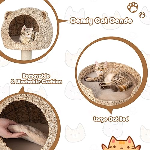 Miniatura 5 de Tangkula Moderna torre de árbol para gatos, centro de actividades alto de varios niveles con postes rascadores de sisal natural, hamaca, hecho a