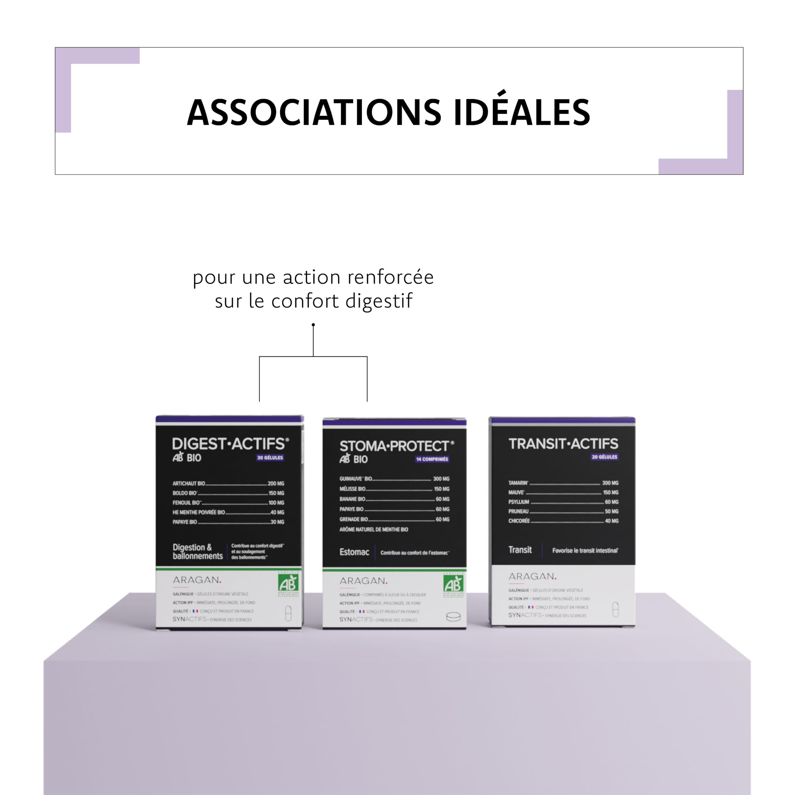 ARAGAN - Synactifs Lot de 2 Transitactifs - Complément Alimentaire Transit Intestinal - Tamarin, Mauve, Psyllium, Pruneau, Chicorée - 40 gélules - 20 jours de prise - Fabriqué en France