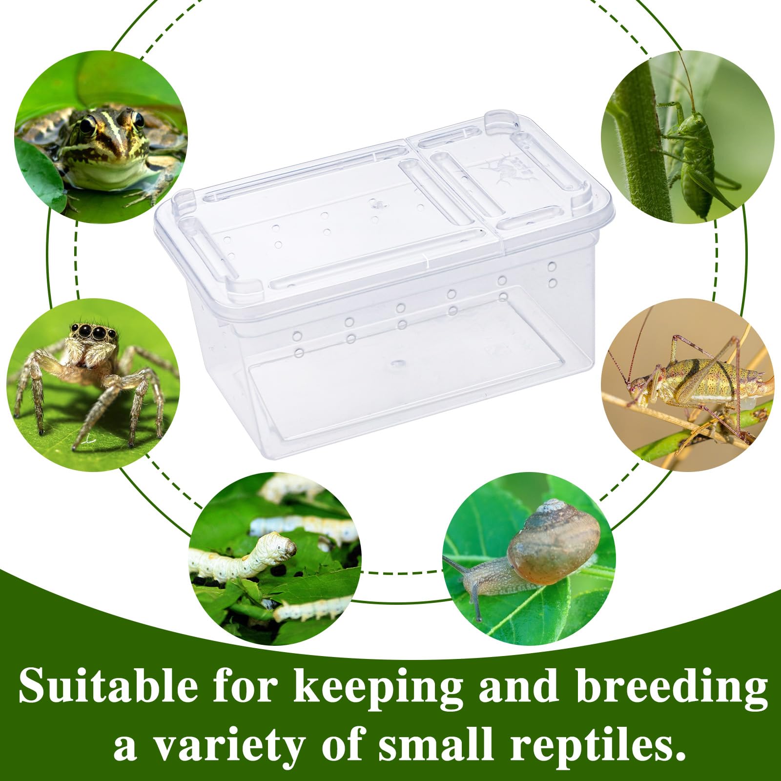 Boîte à nourriture pour reptiles, transparente, habitat animalier, cage, araignée, terrarium, boîte à couver en plastique pour reptiles, tortue, araignée, grenouille, scorpion, serpent (11 x 7 x 5,5