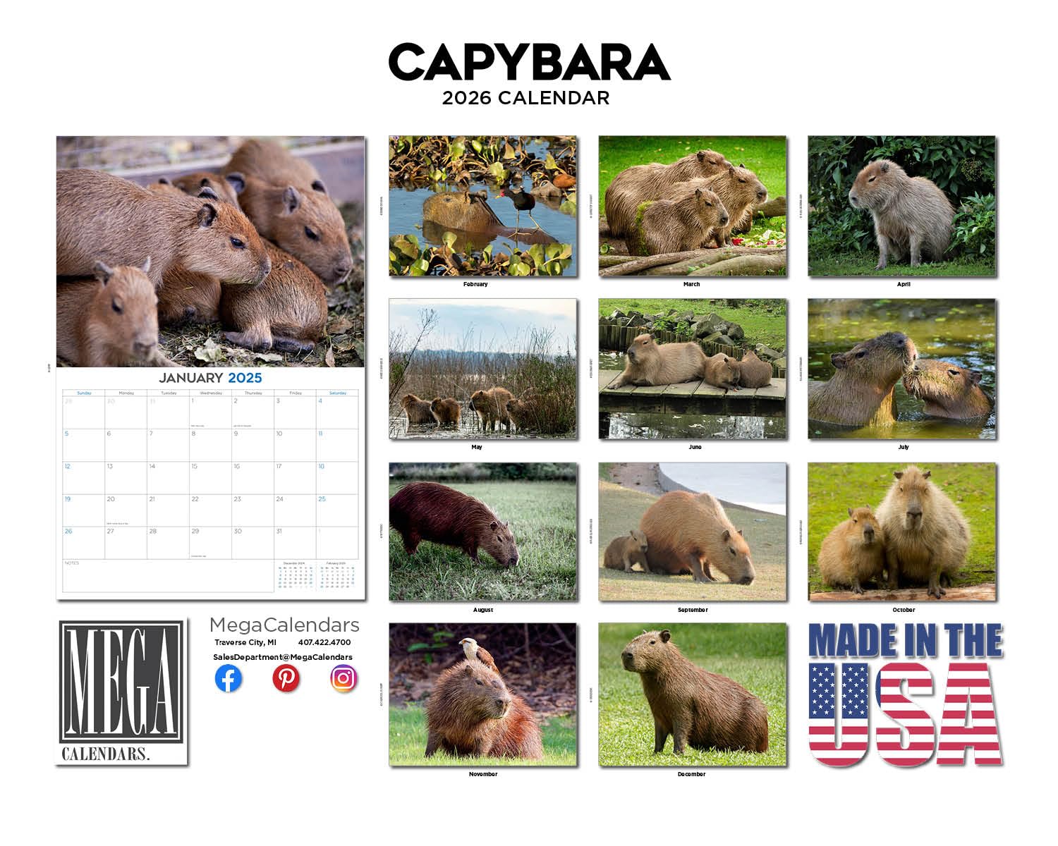 Calendario da parete 2024 2025 Capybara mensile, calendario della fauna selvatica, 30,5 x 45,7 cm, aperto, carta spessa senza sbavature, idea regalo, calendario per insegnanti accademici, calendario