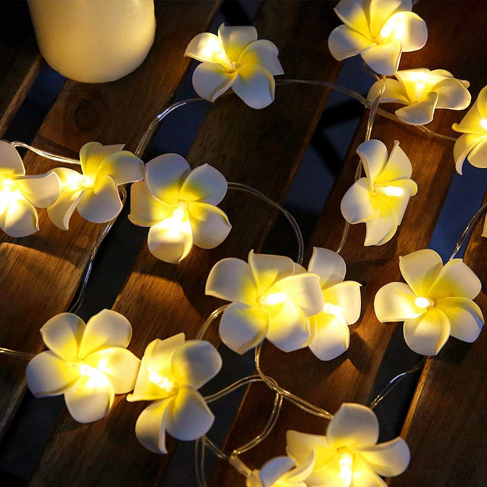Fantasee Luci A LED A Forma Di Fiore Plumeria – 3 Metri, 20 LED, Alimentazione A Batteria, Per Matrimoni E Feste Hawaiane