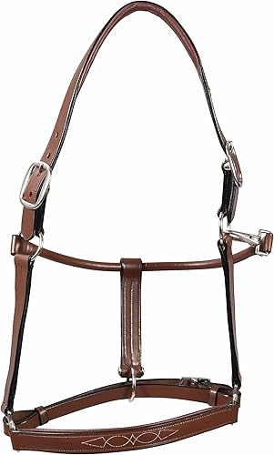Vista 5 de Henri de Rivel Pro Fancy - Halter acolchado con triple costura Oakbark