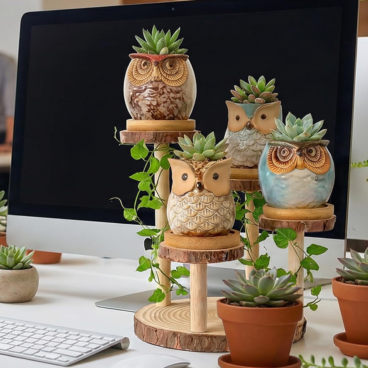 2.5"mini ceramic Cute Owl Animal Succulent Flower Pot Outdoor Bamboo Wooden Small Planter Stand Gift Set for Home,Office,Living Room,Bedroom Decoration,Windowsill,Indoor Desk,Kitchen Decor (4 Tier)