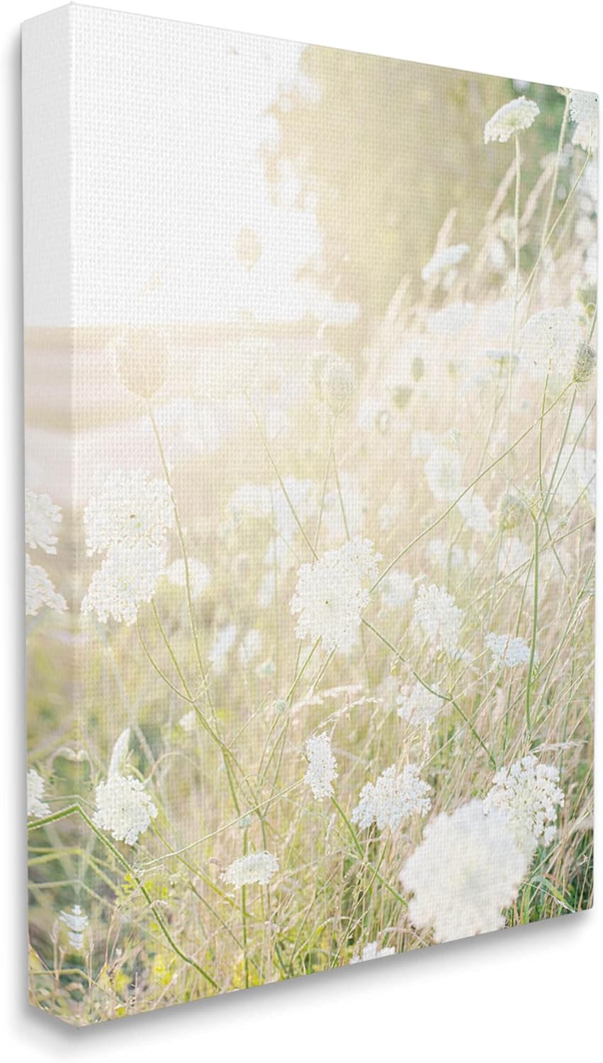 Stupell Industries Sunlit Meadow Blooming Wildflowers Canvas Wall Art, Design by Leah Straatsma